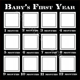 Baby's First Year